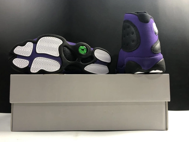 Purple Jordan Air Court DJ5982-015 13 1112